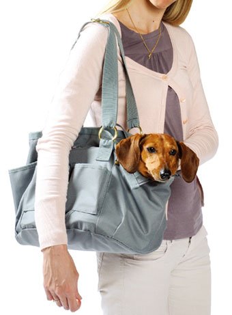 TopZoo ペット用キャリーバッグ ブラウン Amazon.co.jp: 洗える犬 猫のキャリーバッグ TopZoo トップズー